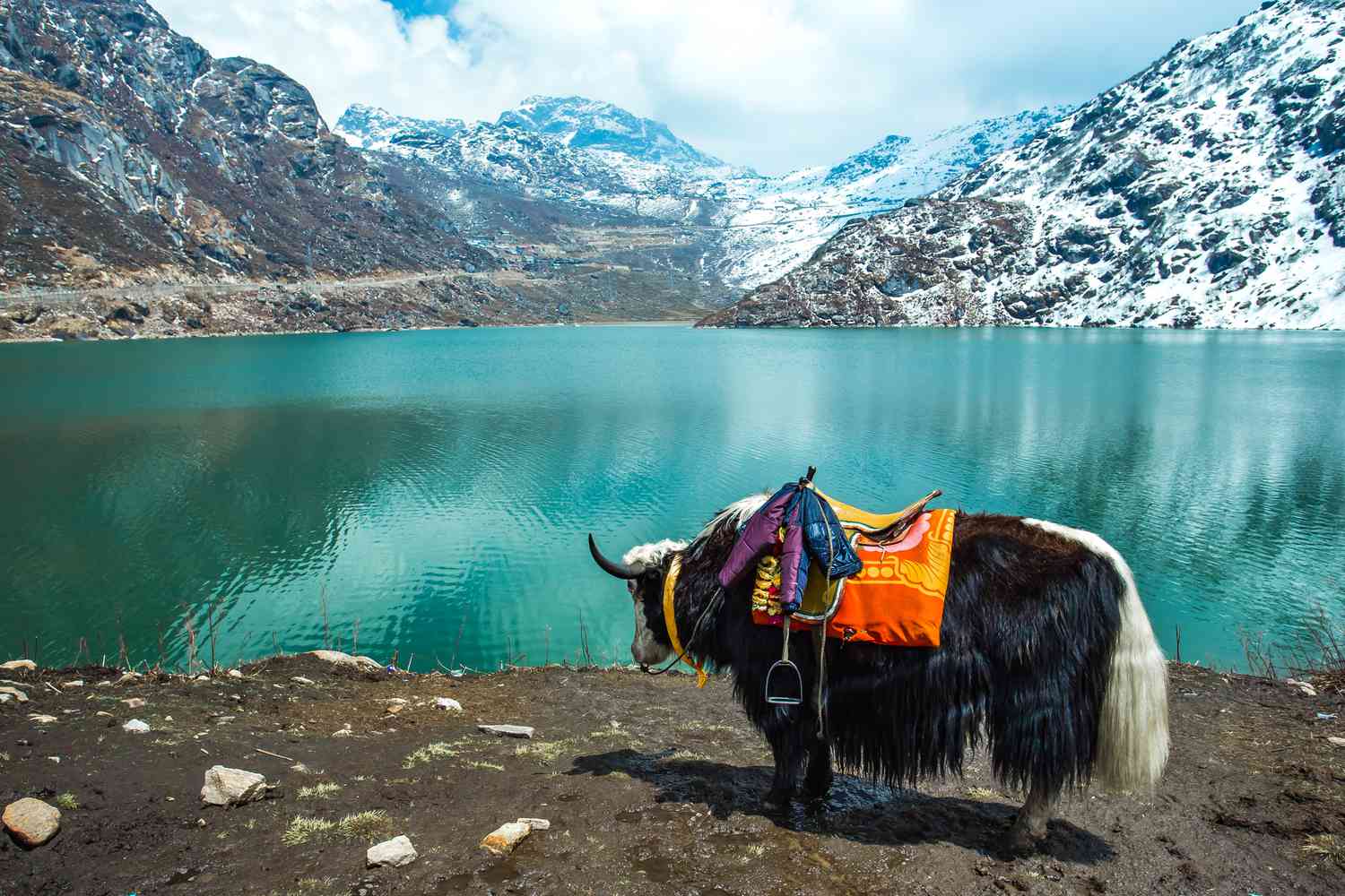 PACKAGE FOR SIKKIM &amp; DARJEELING